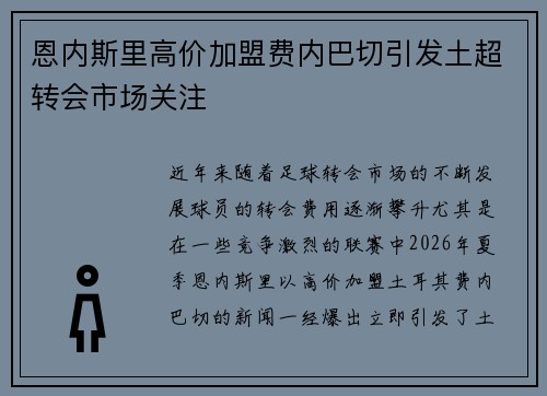 恩内斯里高价加盟费内巴切引发土超转会市场关注